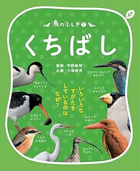油絵　Alles Gute　仲良く集まるくちばしの小さな鳥たち　2 油絵 Alles Gute様専用 仲良く集まるくちばしの小さな鳥たち 2